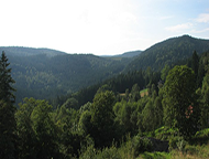 Okolí  Josefova Dolu