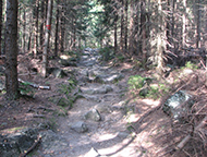 Cesta na vodop�dy Jedlov� 2